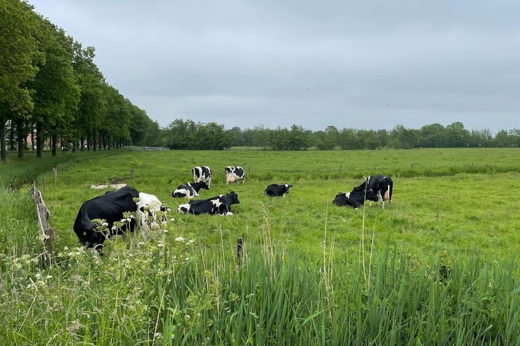 Puur Eastermar - Monumentaal, Authentiek En Luxe Koetshuis Aan Open Vaarwater Met Jacuzzi En Sauna Oostermeer Esterno foto