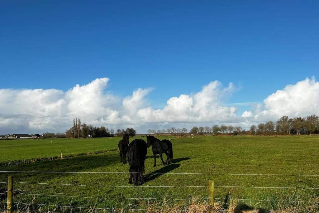 Puur Eastermar - Monumentaal, Authentiek En Luxe Koetshuis Aan Open Vaarwater Met Jacuzzi En Sauna Oostermeer Esterno foto